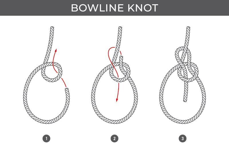 Bowline Knot